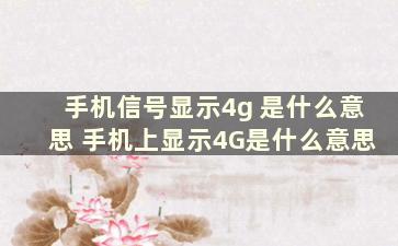 手机信号显示4g 是什么意思 手机上显示4G是什么意思